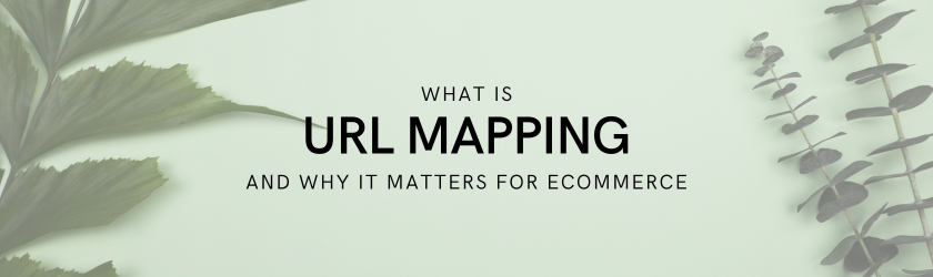 what is url mapping