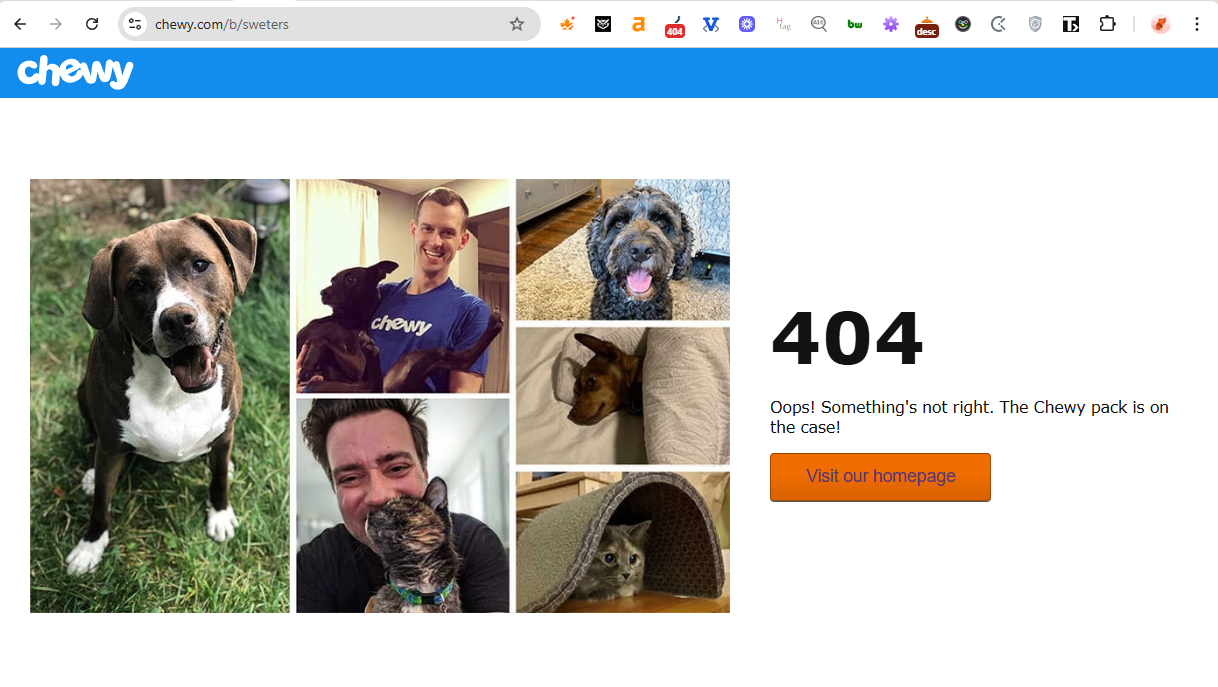Chewy 404 page