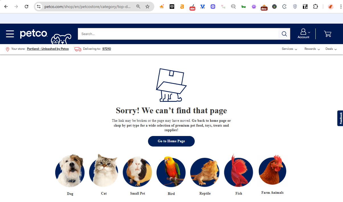 Petco 404 page